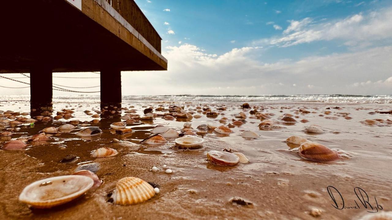 Roxon Sea Sand Bat Jam Zewnętrze zdjęcie